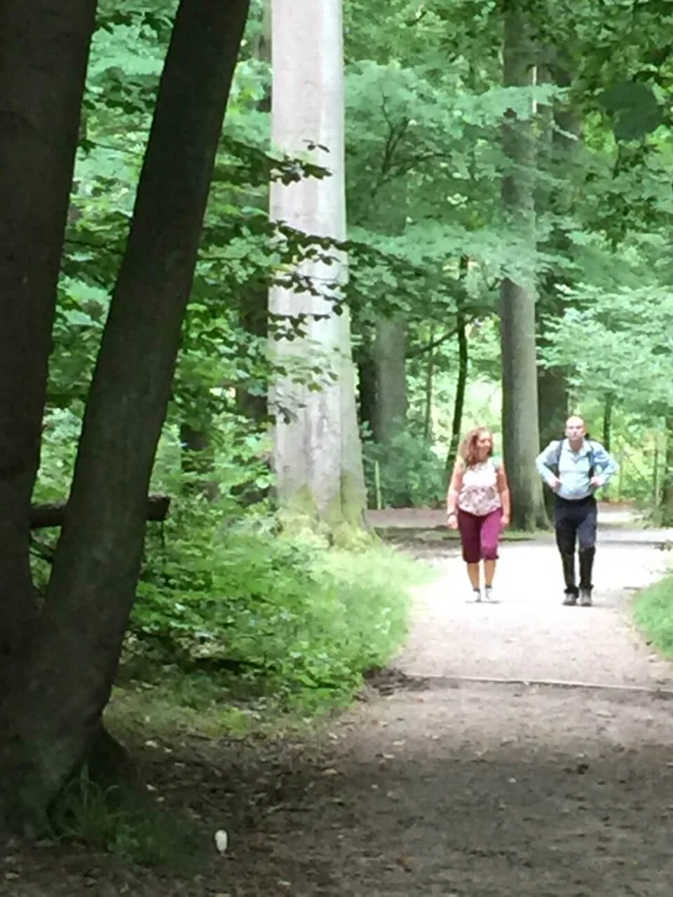 balade en forêt